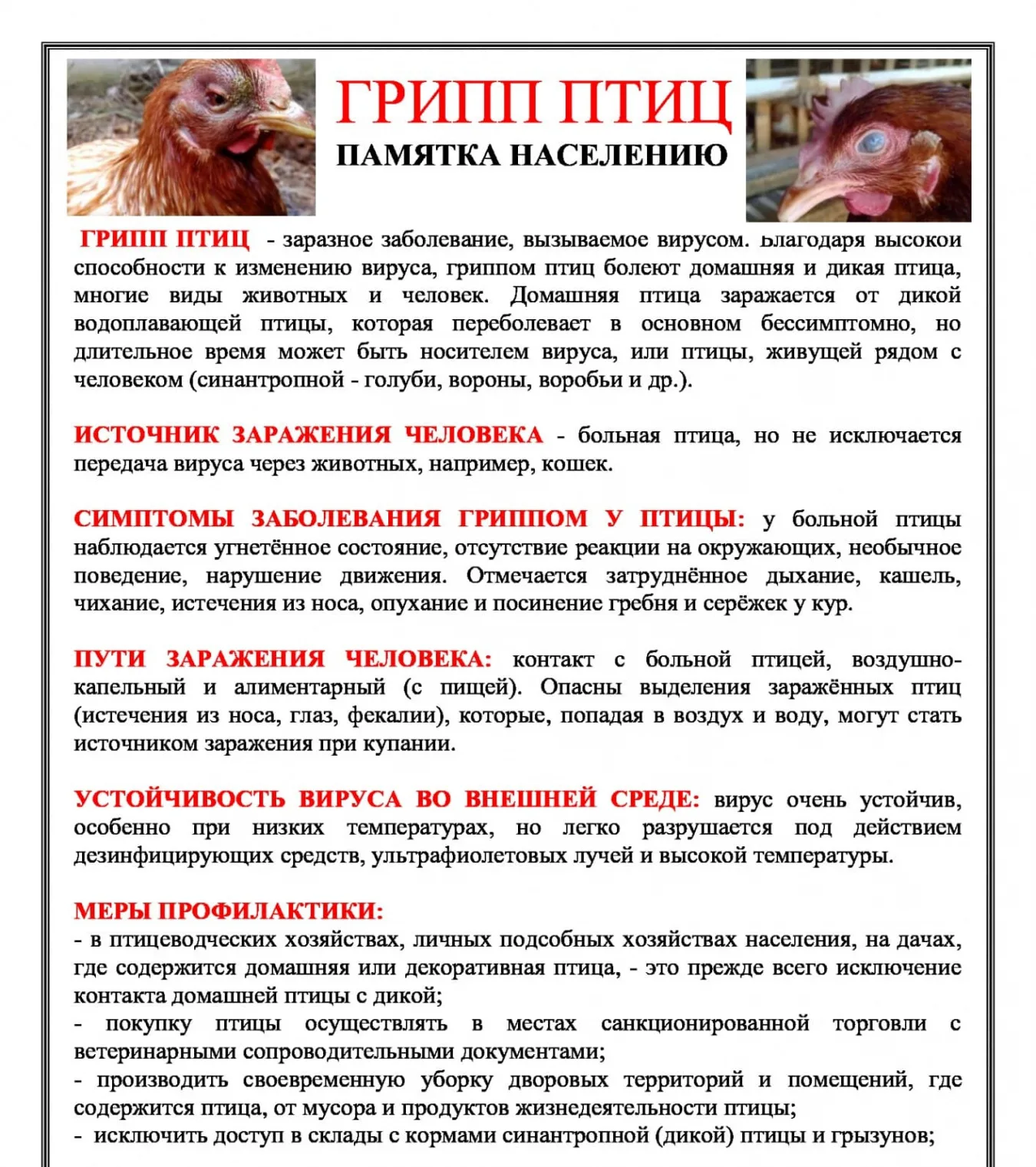 Изображения.
