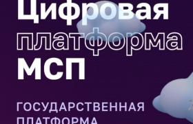 МСП.РФ объединяет меры федеральной и региональной поддержки.