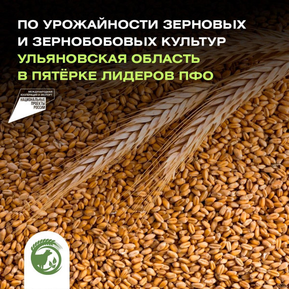 Ульяновская область вошла в пятерку лидеров ПФО по урожайности зерновых и зернобобовых культур. Ульяновская область вошла в пятерку лидеров ПФО по урожайности зерновых и зернобобовых культур.