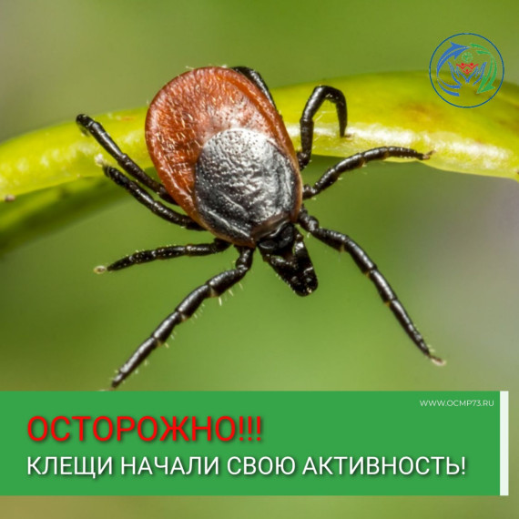 Обратите внимание на меры безопасности при укусе клещей. Обратите внимание на меры безопасности при укусе клещей.